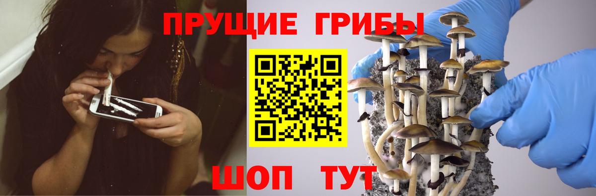 Галлюциногенные грибы GOLDEN TEACHER Кубинка